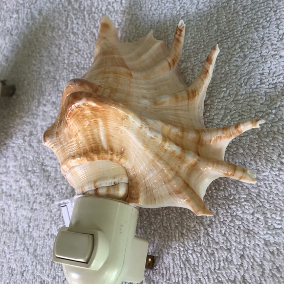 New! Cut LAMBIS seashell NIGHT LIGHT - Picture 3 of 5